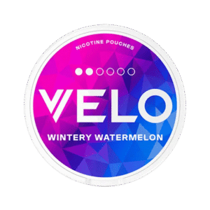 VELO Wintery Watermelon Mini